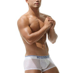 Men's Sexy Transparent Striped Trunks