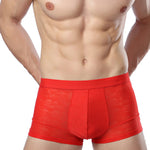 2-pack Men's Ice Silk Breathable Printed Hollow Boxer Briefs