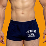 2-pack Men's DM Printed Lettering Low Waist Sexy Cotton Boxer Shorts