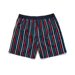 Men’s Striped Print Drawstring Board Shorts