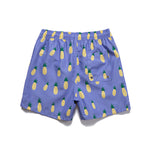 Men’s Striped Print Drawstring Board Shorts