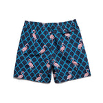 Men’s Striped Print Drawstring Board Shorts