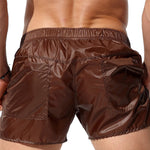 Men's Non-Lined Translucent Sexy Beach Shorts