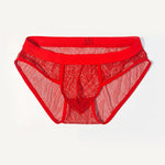 3 Pack Men's Sheer Elegance Mesh Solid Color Low-Rise Stretch Briefs