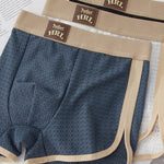 4 Pack Men's Odor-Control Comfy Waistband Skin-Friendly Boxer Briefs