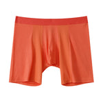 2 Pack Men's Anti-friction Sports Long Nylon Mesh Briefs