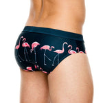 Men's Printed Low Rise Swim Briefs