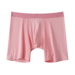2 Pack Men's Anti-friction Sports Long Nylon Mesh Briefs