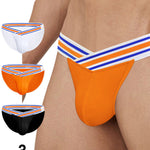 2-pack Men's Striped V-waist High-cut Briefs