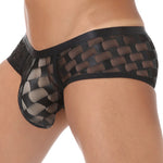 2 Pack Men's Sheer Grid Mesh Breathable Large U-Pouch Trunks