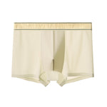 4 Pack Men's Antibacterial Comfy Waistband Ice Silk Trunks