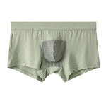 2 Pack Men's Ice Silk Antibacterial Mid-Rise Day-Long Comfort Soft Trunks