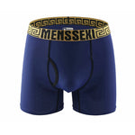 2 Pack Men's Sexy Sports Ice Silk Boxer Briefs