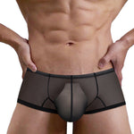 2 Pack Men's Breathable Sheer Elegance Quick-Dry Ultra-Soft Trunks