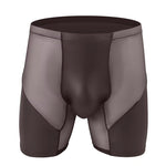 2 Pack Men's Casual Sports Transparent Mesh Midway Briefs