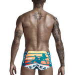 Colorful Quick Dry Swimming Briefs for Men