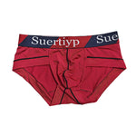 2 Pack Men's Breathable Mesh Ice Silk Low-Rise Cooling Briefs