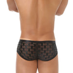 2 Pack Men's Mesh Breathable Large U-Pouch Quick-Dry Low-Rise Sexy Trunks