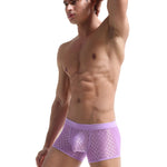2 Pack Men's Sexy Transparent Mesh Trunks