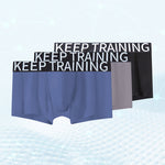 3 Pack Men's Mesh Breathable & Moisture-Wicking Stretch Fabric Trunks