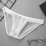 2 Pack Men's Sexy Mesh Bikini – Sheer & Breathable