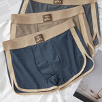 4 Pack Men's Odor-Control Comfy Waistband Skin-Friendly Boxer Briefs