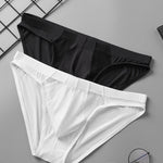 2 Pack Men's Sheer Mesh Low-Rise Sexy Ice Silk Briefs