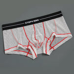 2 Pack Men’s Sexy Low-rise Transparent Mesh Trunks