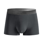 2 Pack Men's Anti-Bacterial Modal Trunks