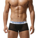 Men's Sexy Transparent Striped Trunks