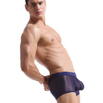 2 Pack Men's Sexy Transparent Mesh Trunks