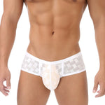 2 Pack Men's Mesh Breathable Large U-Pouch Quick-Dry Low-Rise Sexy Trunks