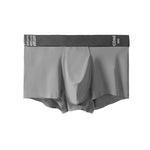 2 Pack Men's Premium Ultra-Thin Seamless Ice Silk Stretch Fit Trunks