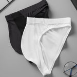 2 Pack Men's Sheer Mesh Low-Rise Sexy Ice Silk Briefs