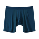 2 Pack Men's Anti-friction Sports Long Nylon Mesh Briefs
