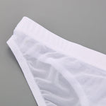 2 Pack Men's Seductive Mesh Sheer Briefs