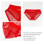 3 Pack Men's Sheer Elegance Mesh Solid Color Low-Rise Stretch Briefs