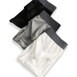 3 Pack Men's Low-Rise Mesh Briefs with Breathable Support & Convenience Fly