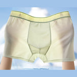 4 Pack Men's Antibacterial Comfy Waistband Ice Silk Trunks