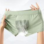 2 Pack Men's Ice Silk Antibacterial Mid-Rise Day-Long Comfort Soft Trunks