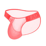 2 Pack Ultra-Thin Men's Breathable Semi-Transparent Sexy Bikini