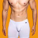 2 Pack Men's Trendy Breathable Ice Silk Boxer Briefs