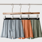 2 Pack Men's Antibacterial Breathable Loose Fit Soft Home Shorts