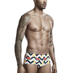 Colorful Quick Dry Swimming Briefs for Men