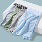 6 Pack Men’s Contour Pouch Mesh Trunks