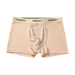 4 Pack Men's Quick-Drying & Comfortable Antibacterial Ice Silk Trunks