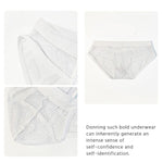 3 Pack Men's Sheer Elegance Mesh Solid Color Low-Rise Stretch Briefs