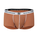 2 Pack Men's Modal Simple Skin-Friendly Trunks