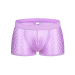 2 Pack Men's Sexy Transparent Mesh Trunks