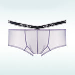 Men's Transparent Ice Silk Waistband Separate Briefs